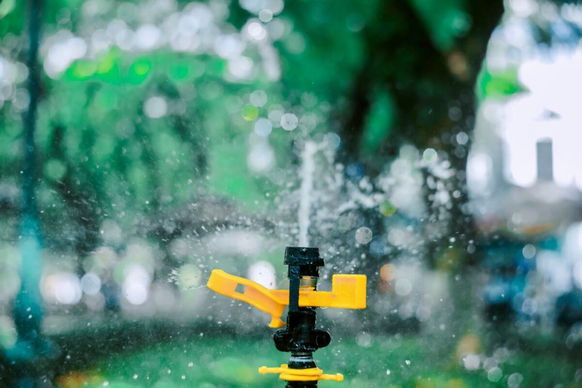 Goutte à goutte ou aspersion : quel arrosage choisir ?