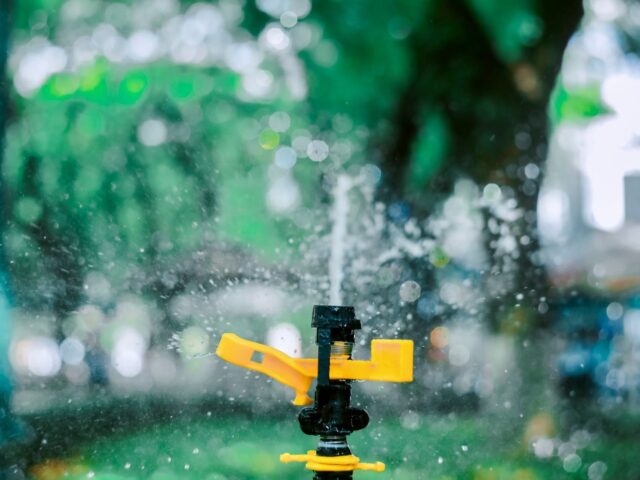 Goutte à goutte ou aspersion : quel arrosage choisir ?