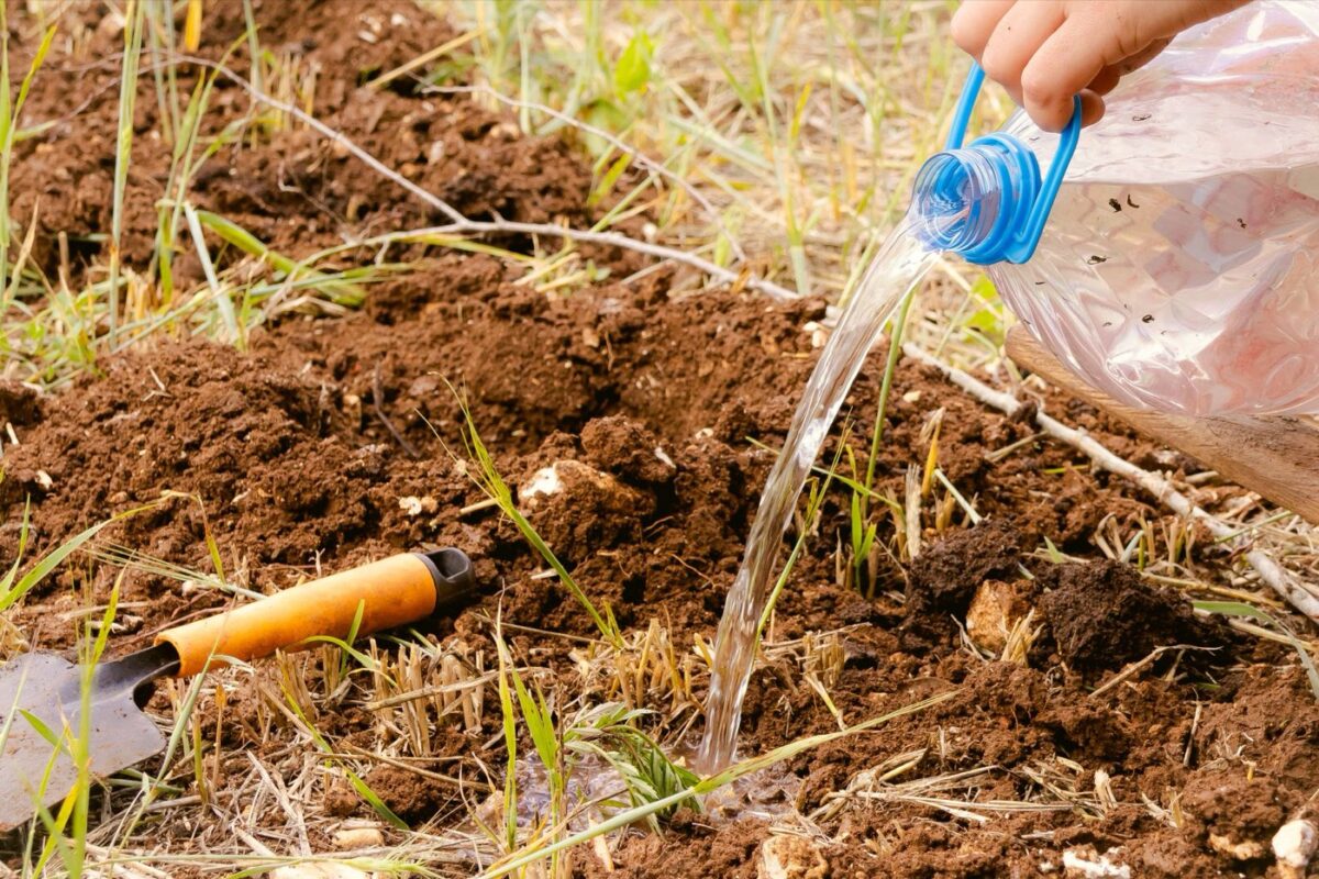 Kit DIY arrosage goutte à goutte pour potager