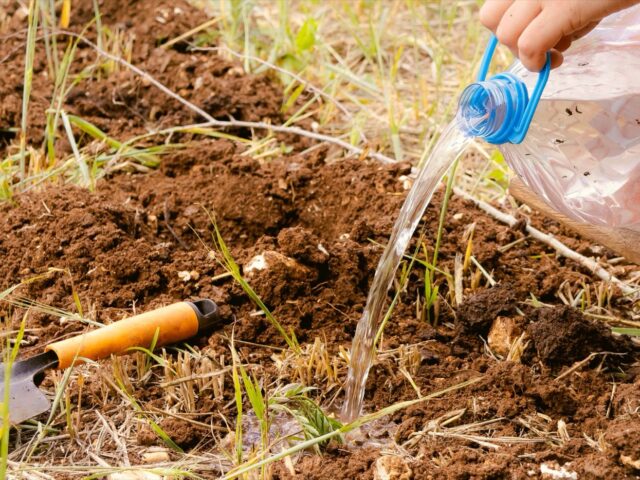 Kit DIY arrosage goutte à goutte pour potager
