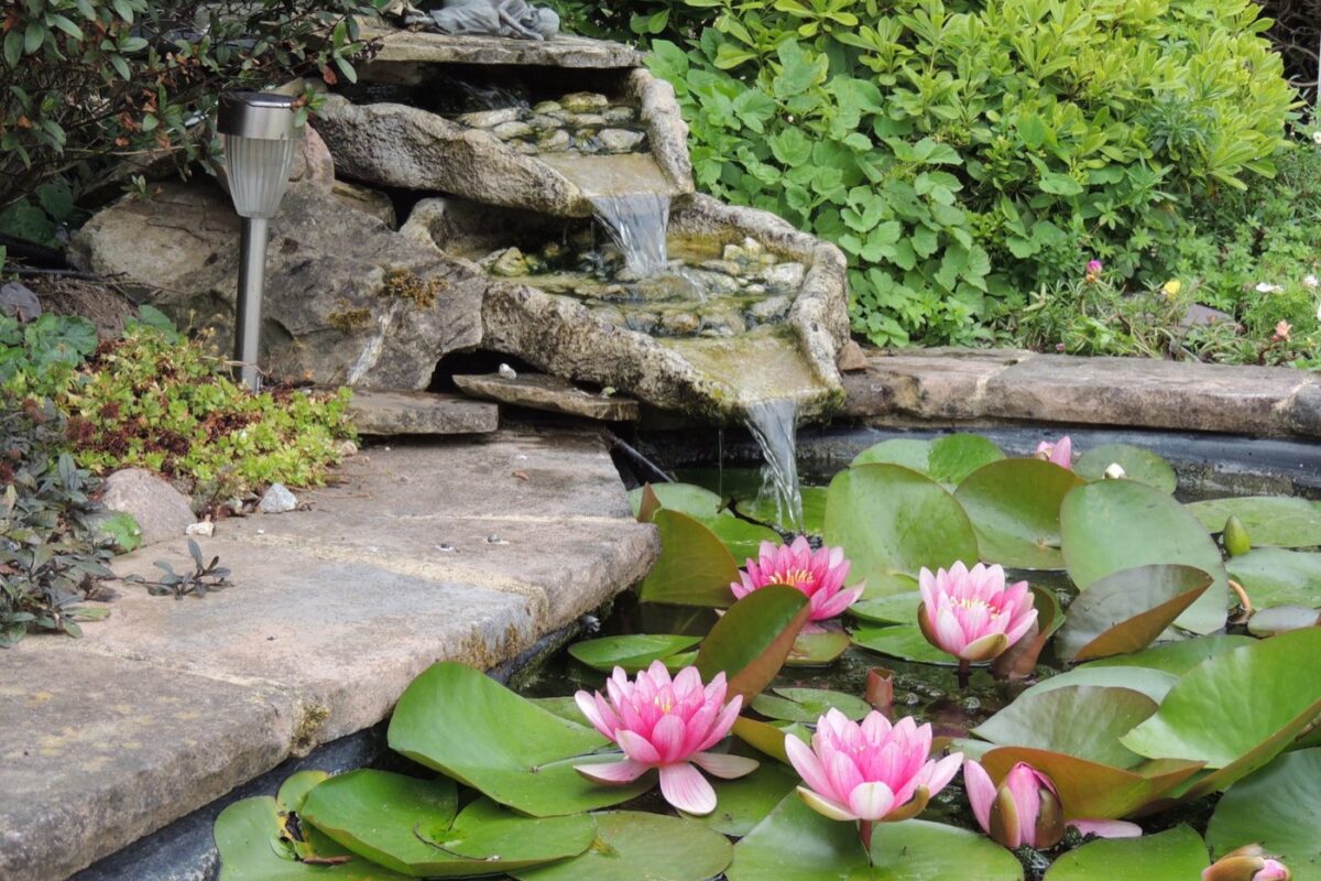 Pompes de jardin faciles d'entretien : choix et obligations