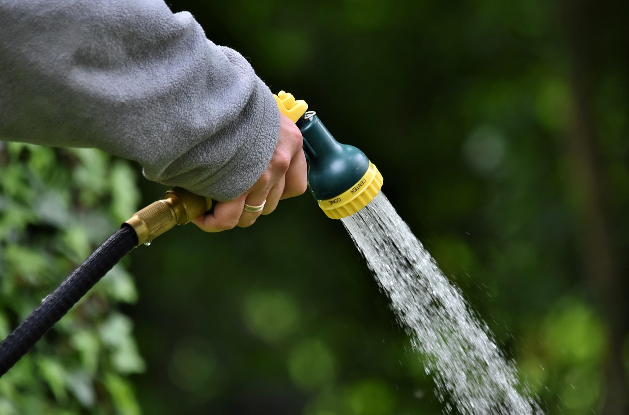 Avis et retours sur les pompes Ebara pour jardin