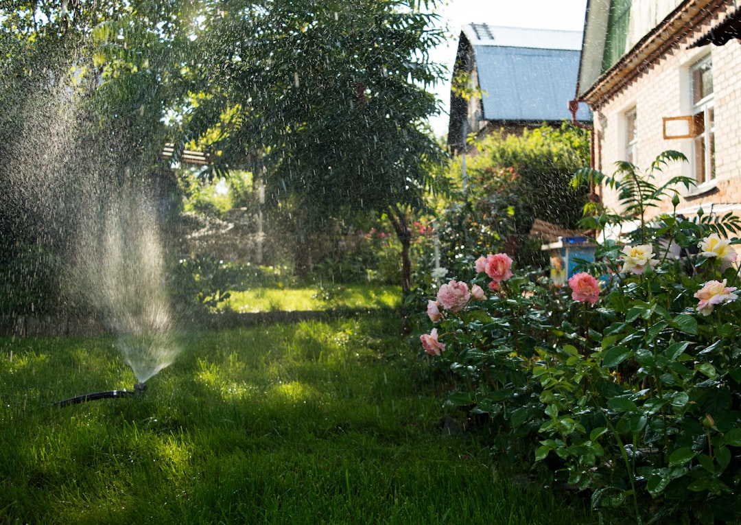 Installer une pompe de puits pour l'arrosage du jardin