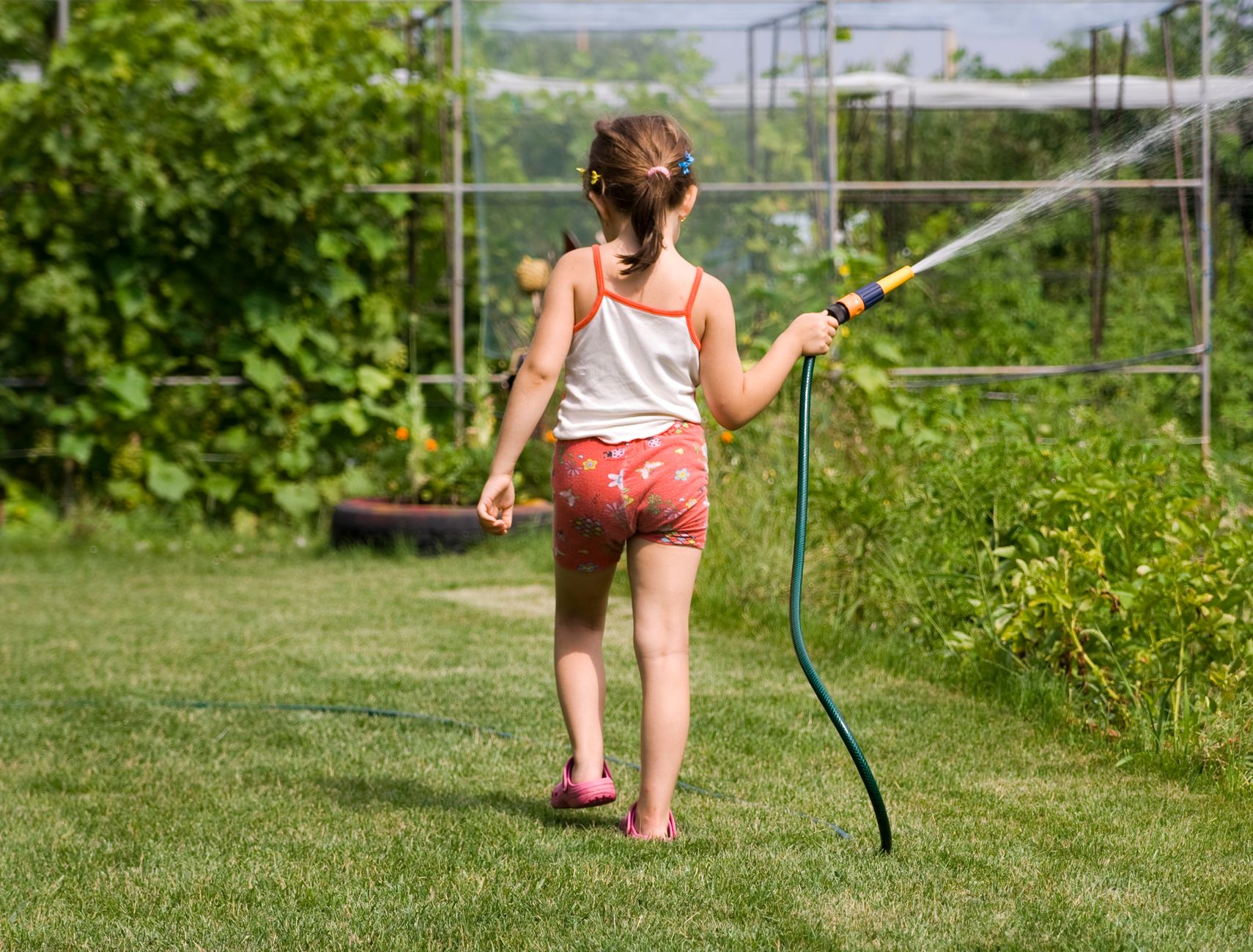 Pompes pour arrosage potager : comment choisir